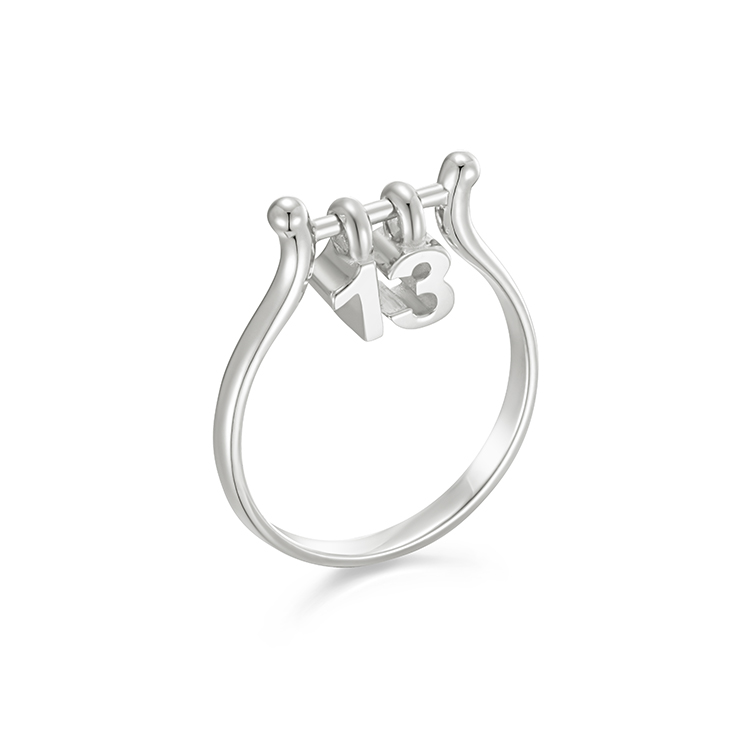 Bowl ring_ 2charms