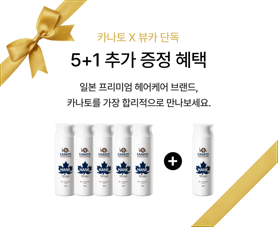 증정안내