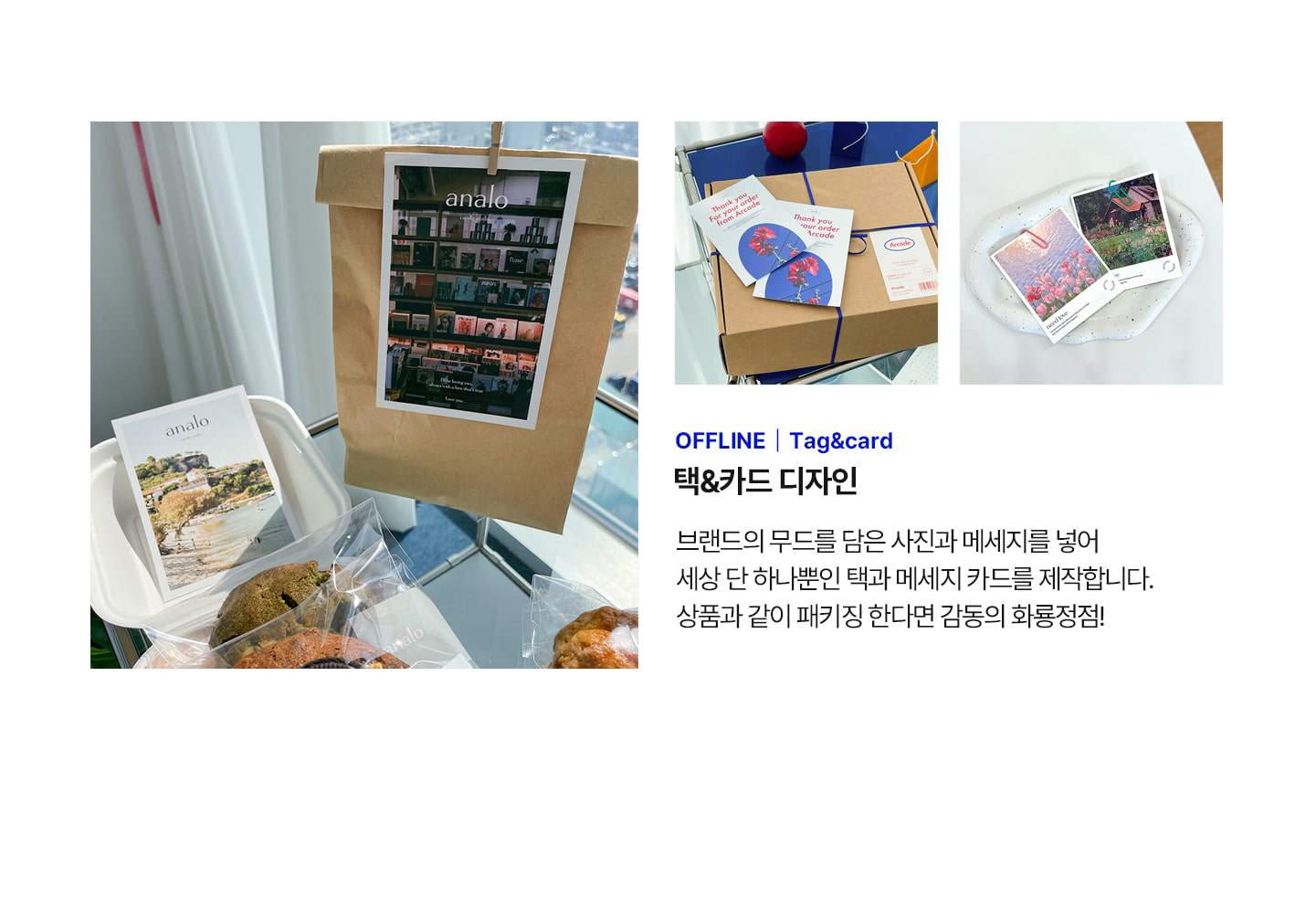 디자이너 소개