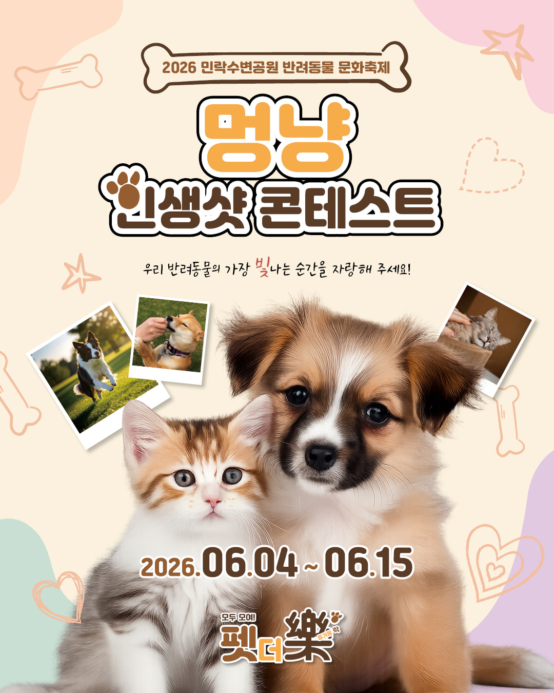 멍냥 인생샷 콘테스트 이벤트 안내