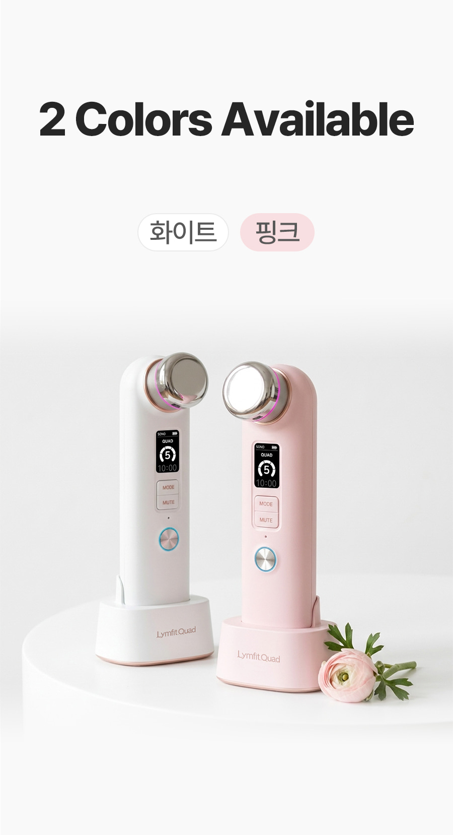 림핏쿼드 32