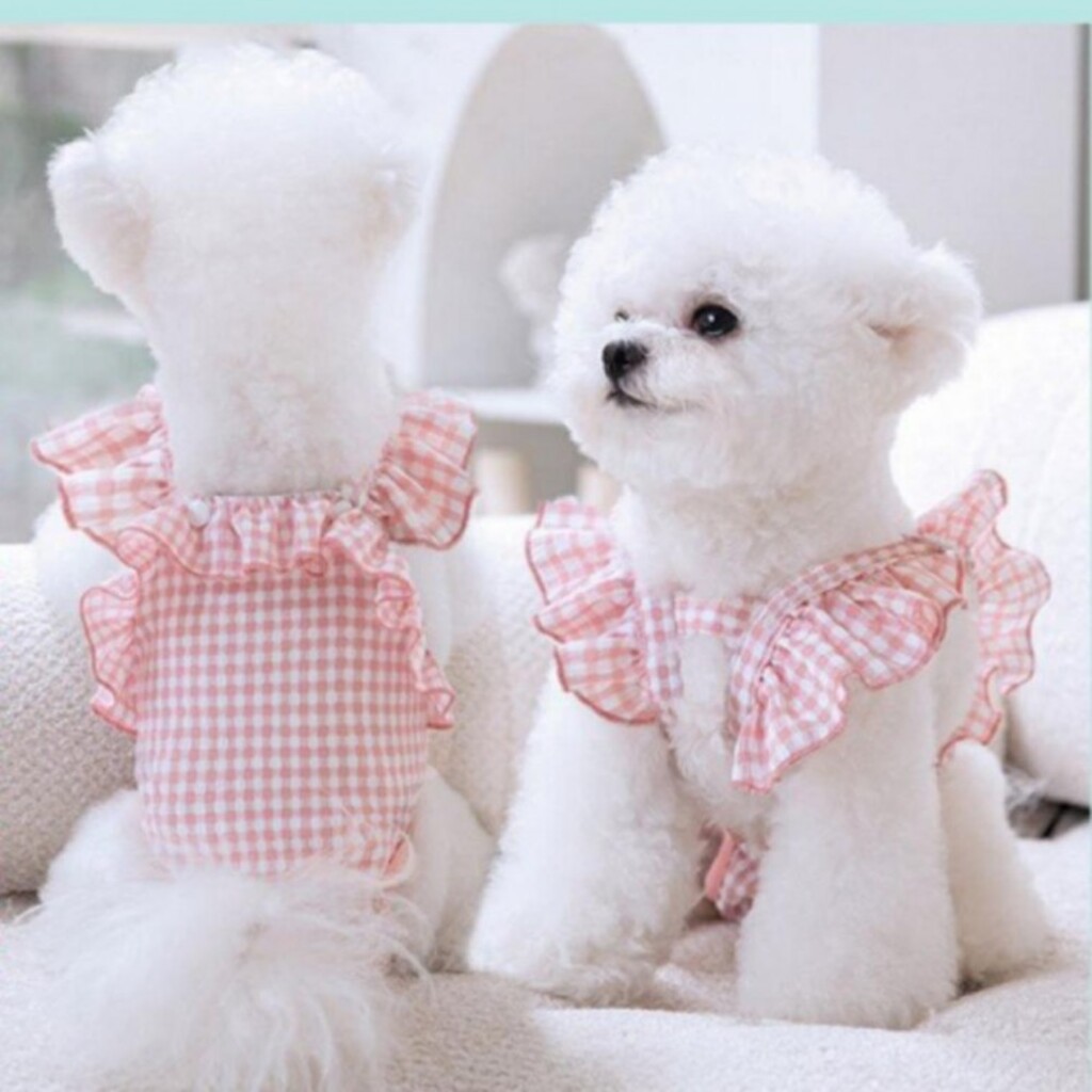암컷 강아지 생리 팬티 소형견 기저귀 - 편안한 착용감의 위생 속옷 제품 이미지