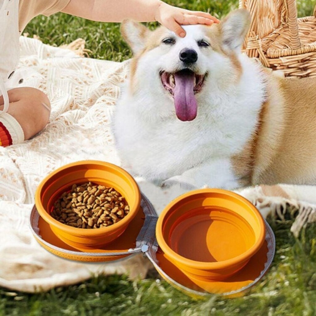 강아지 휴대용 산책 실리콘 접이식 식기 제품 이미지