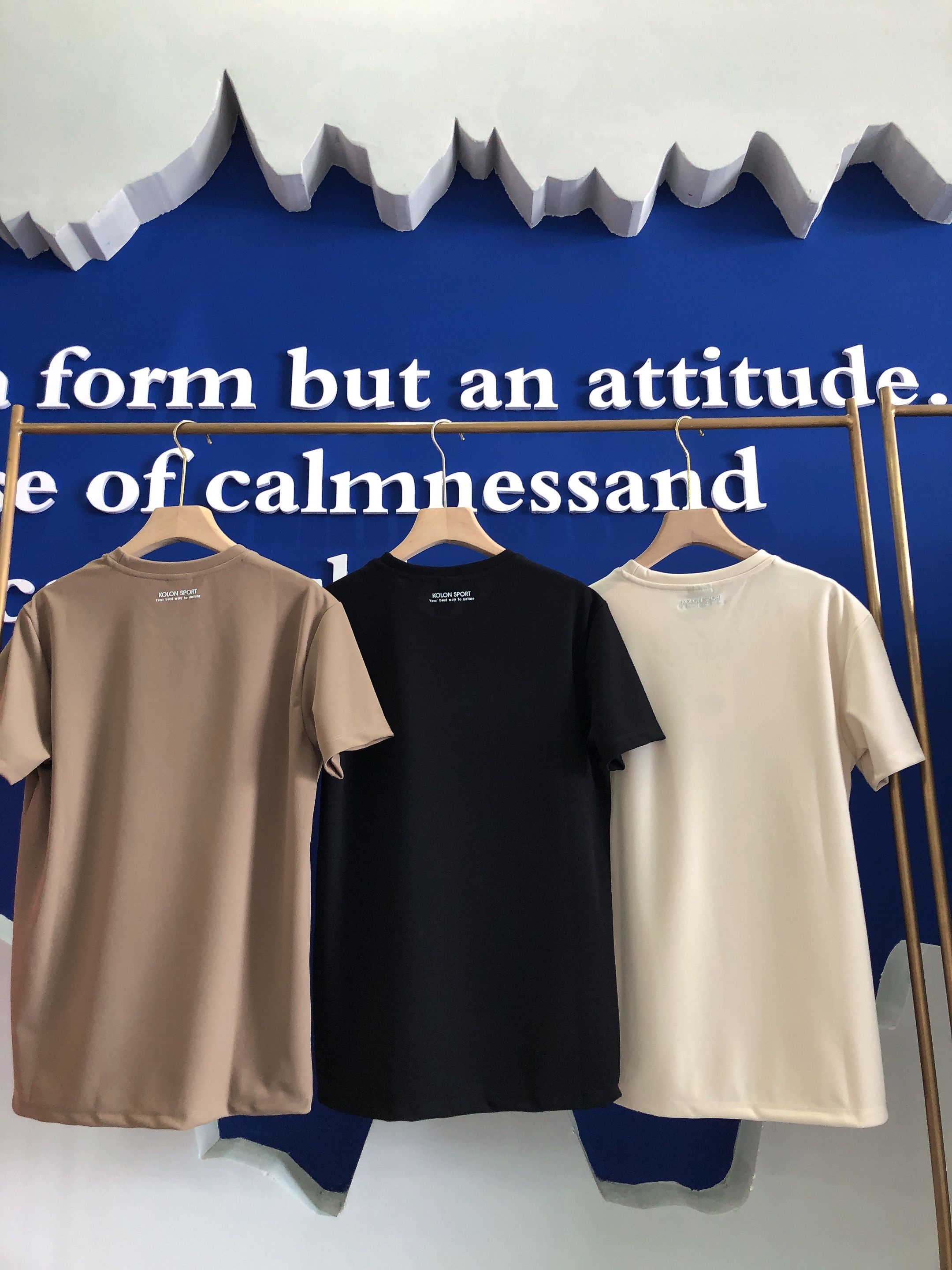 39cf248f2191271d8817c1256bd00bc5.jpg