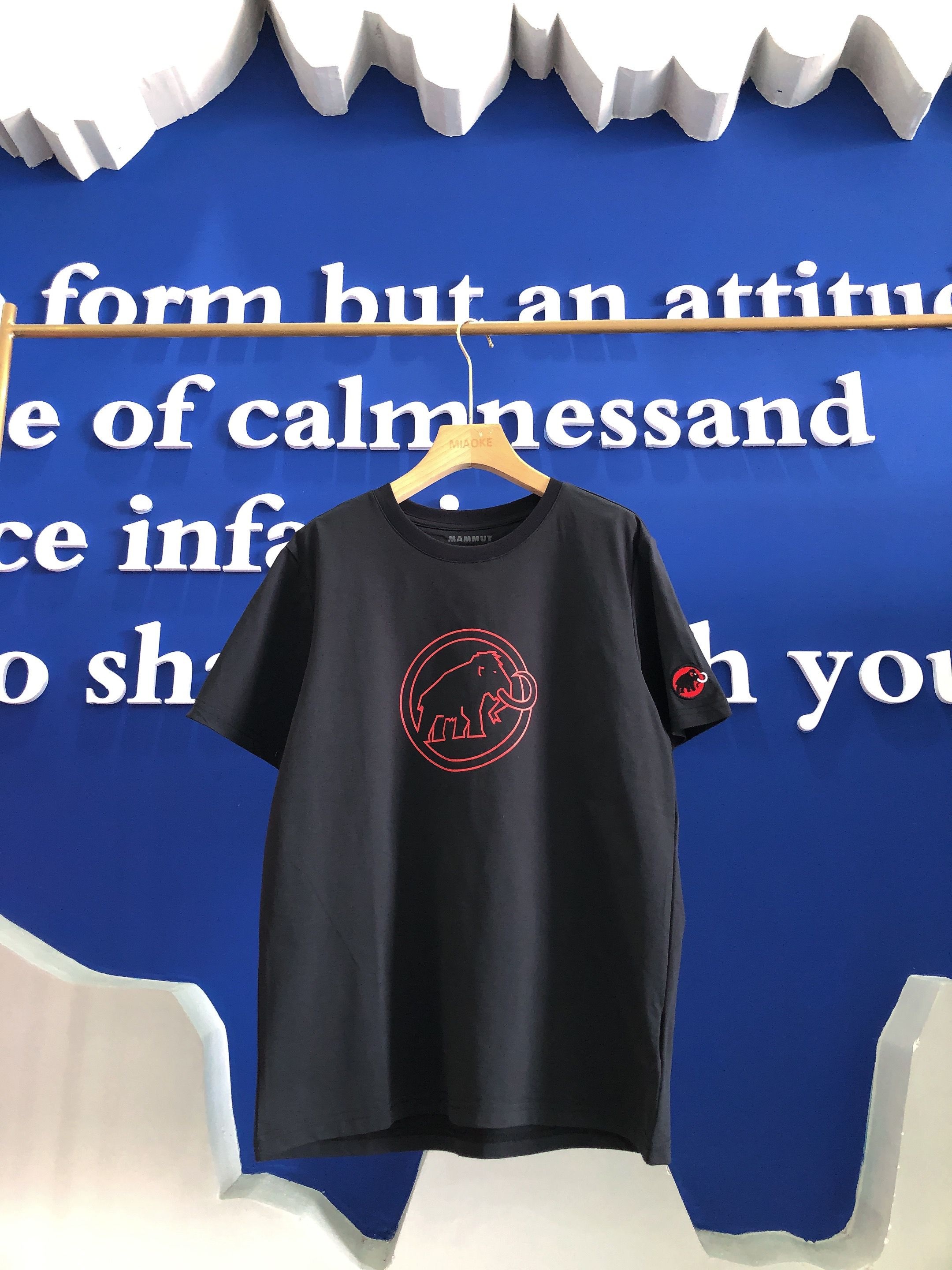f2b06cdfee69043138b0d6efc42cf704.jpg