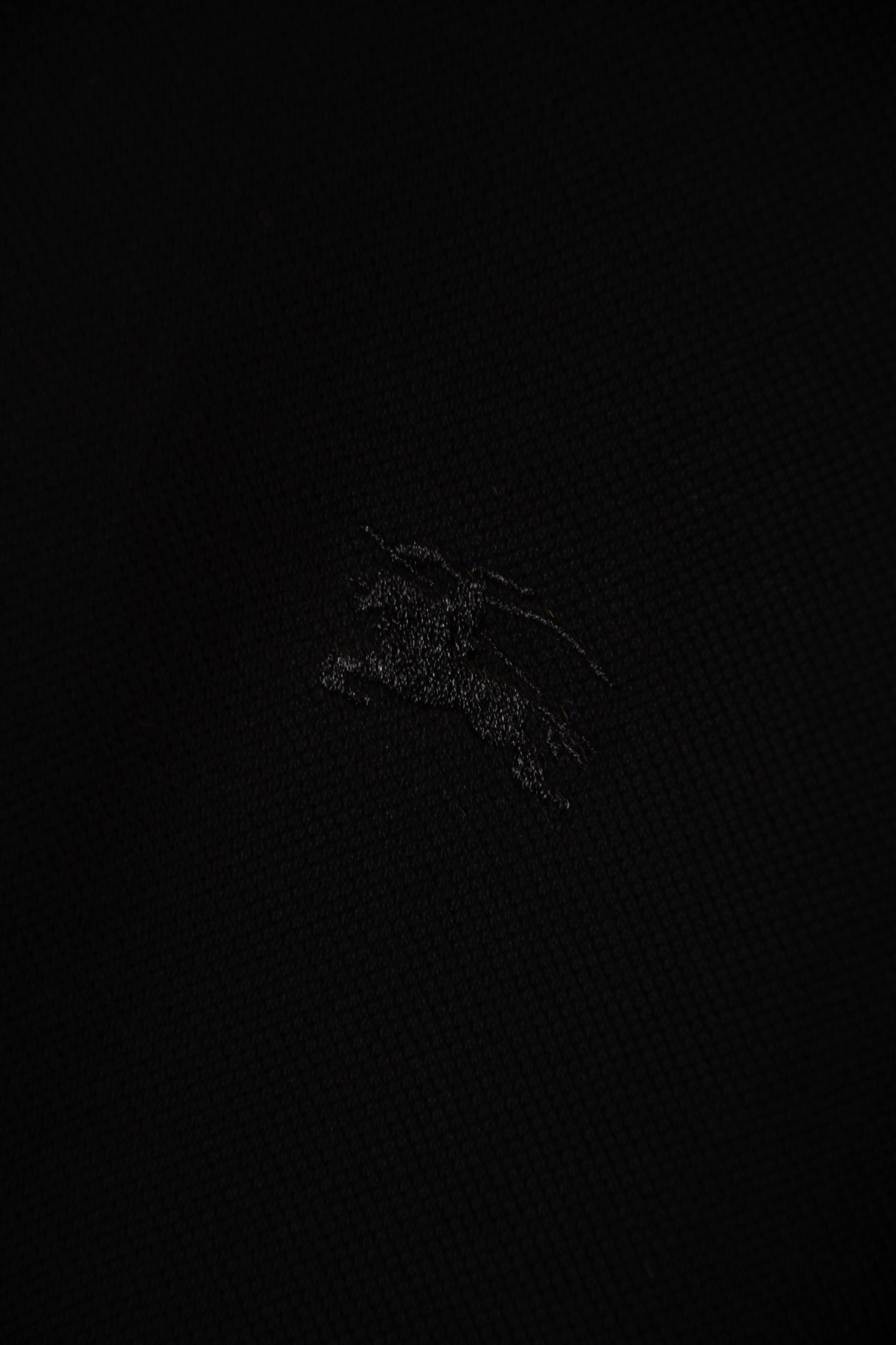 30248f21b725a874fad88302e5b1dfa2.jpg