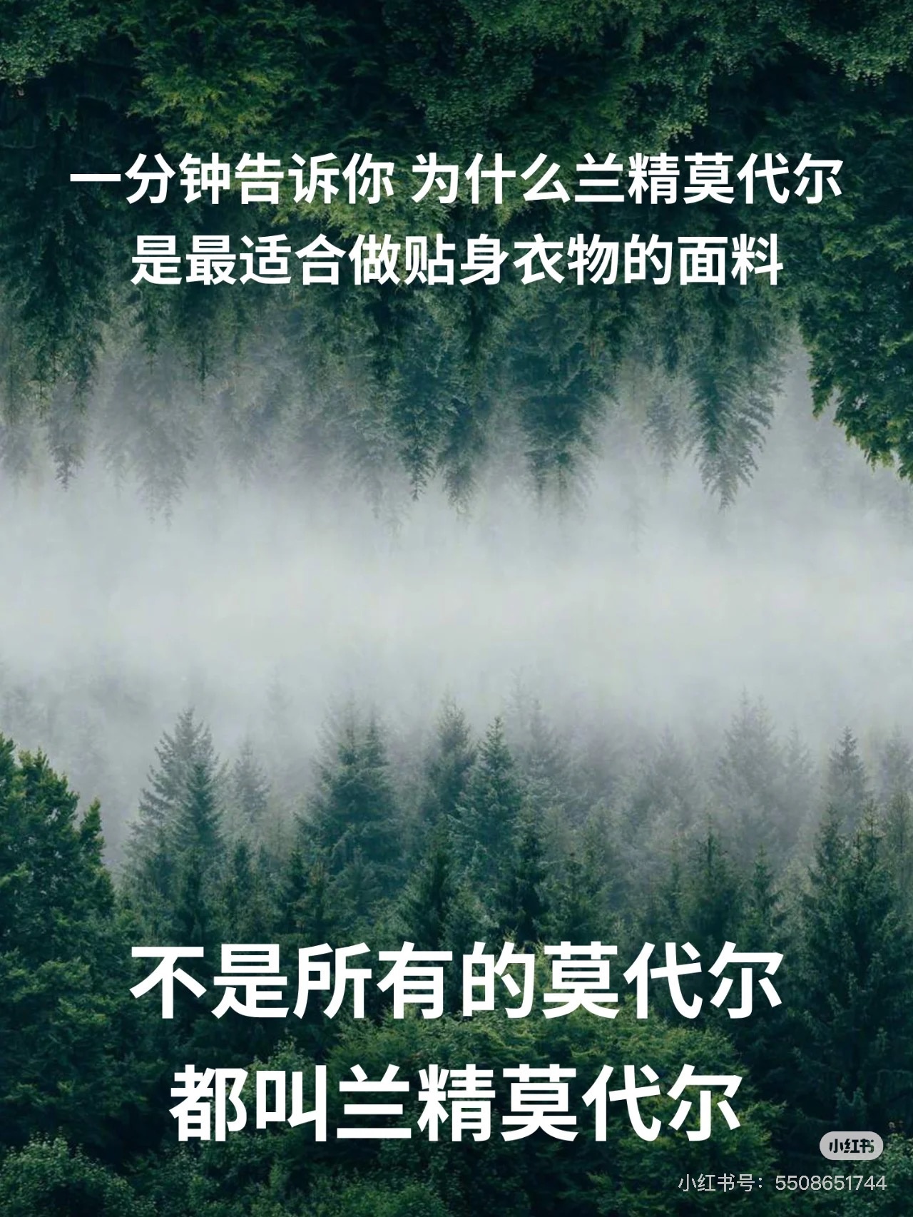 1cb17af78e50d6670760ad2eab926494.jpg