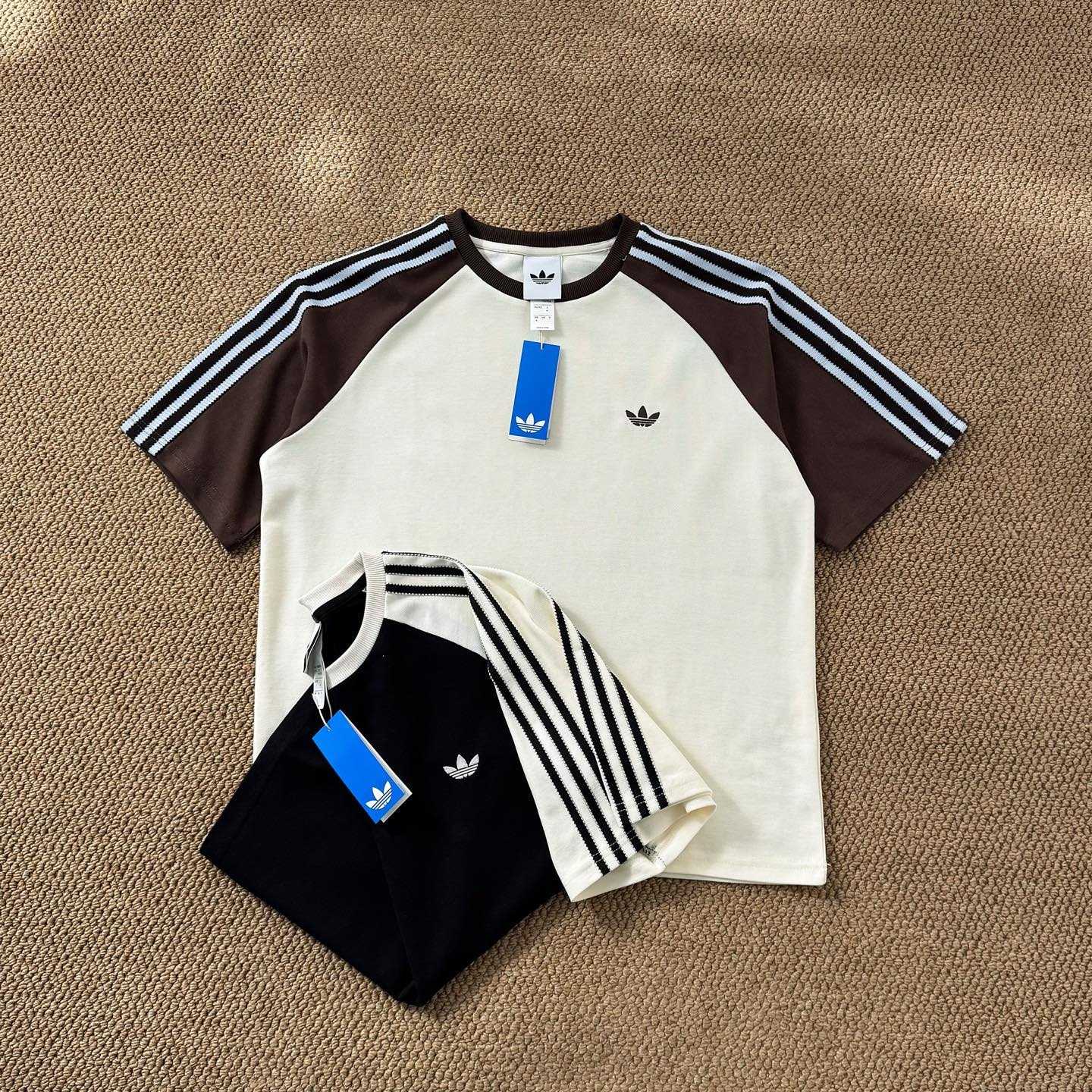 165606468fbc0316ff02bf28753cc737.jpg