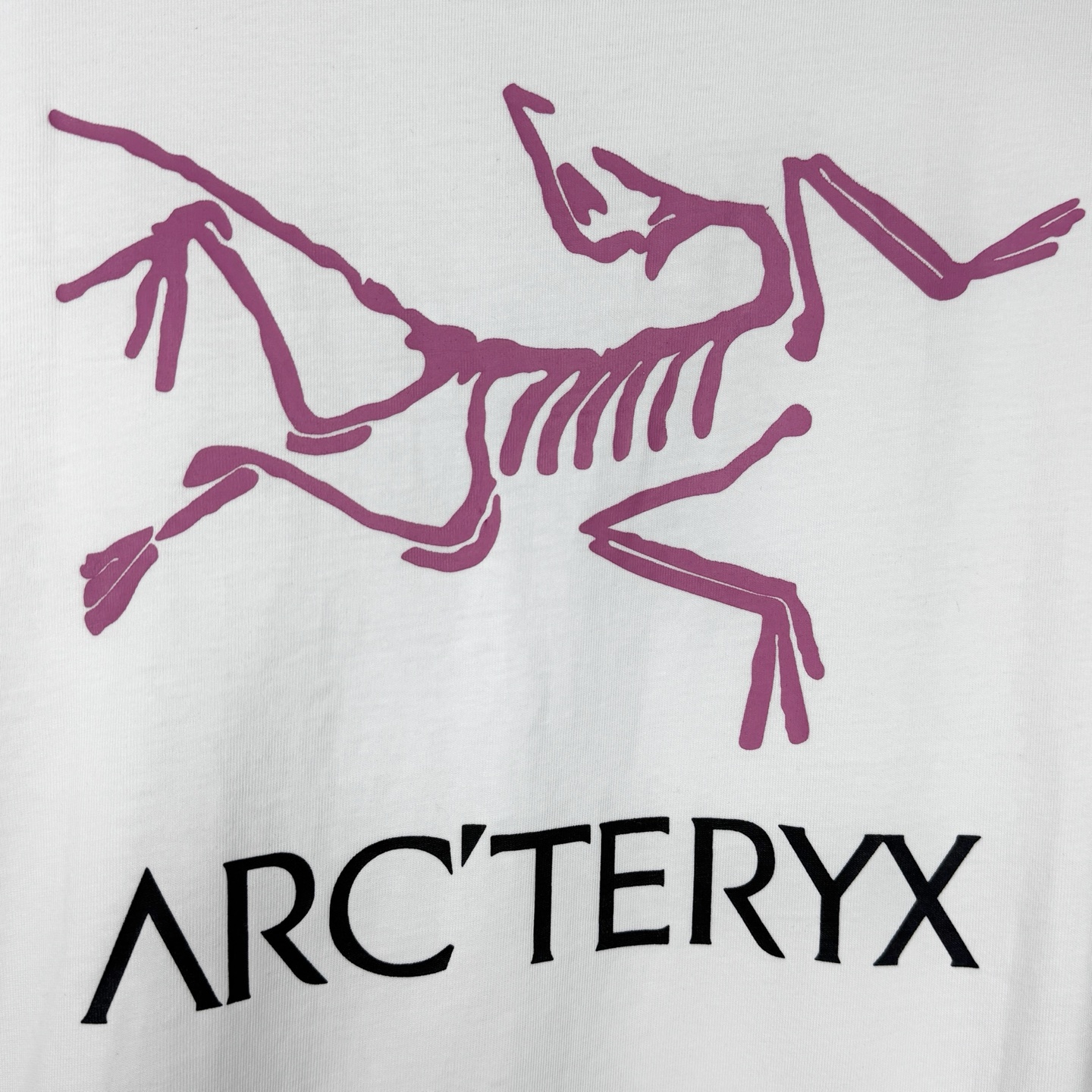 c60bdc4c5073b83d7efd28c930771f8f.jpg
