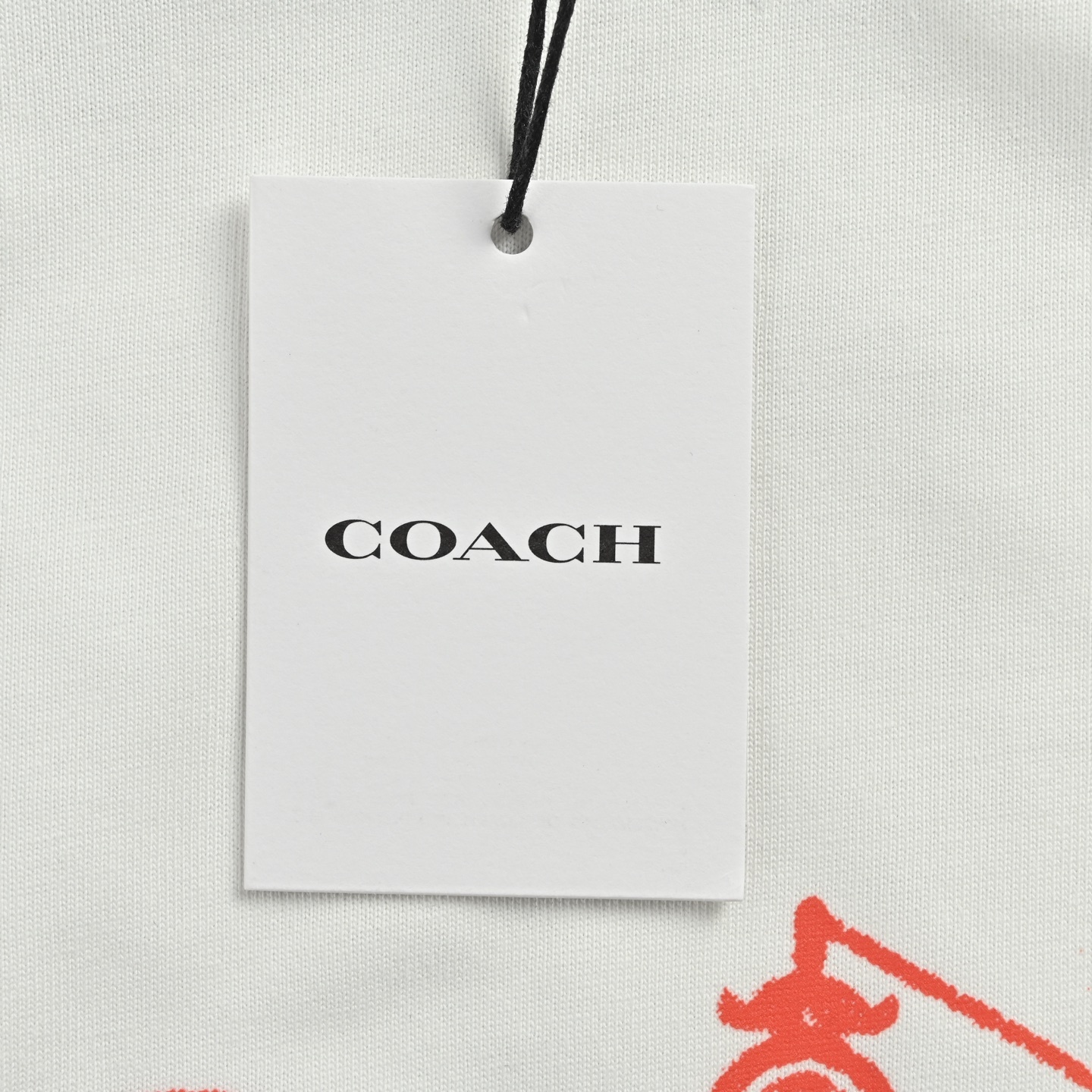 7cbc1461ca21d8986e2953964d9ed377.jpg