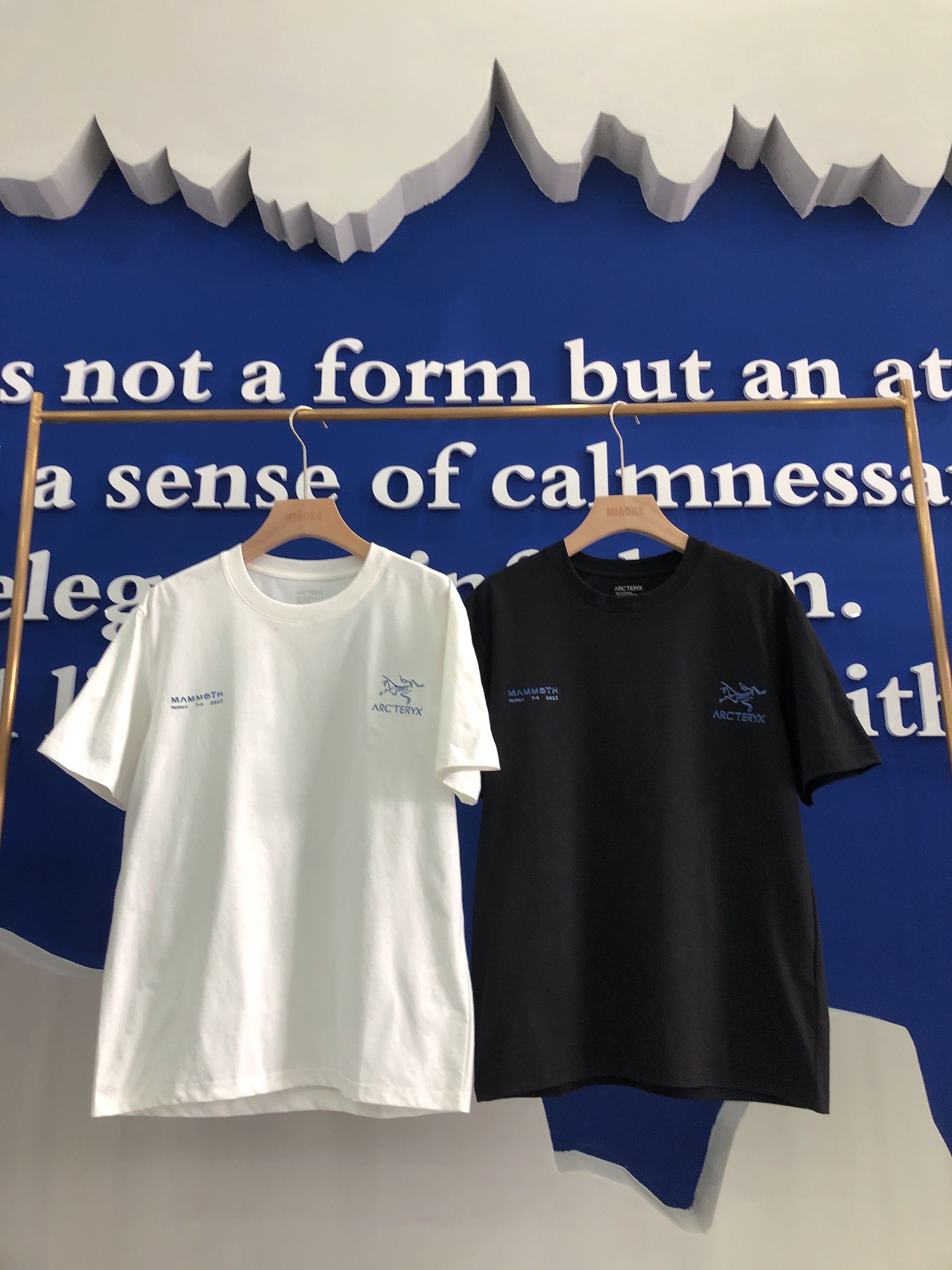 badf648832ef0534fcc8c5c0aebec9ae.jpg