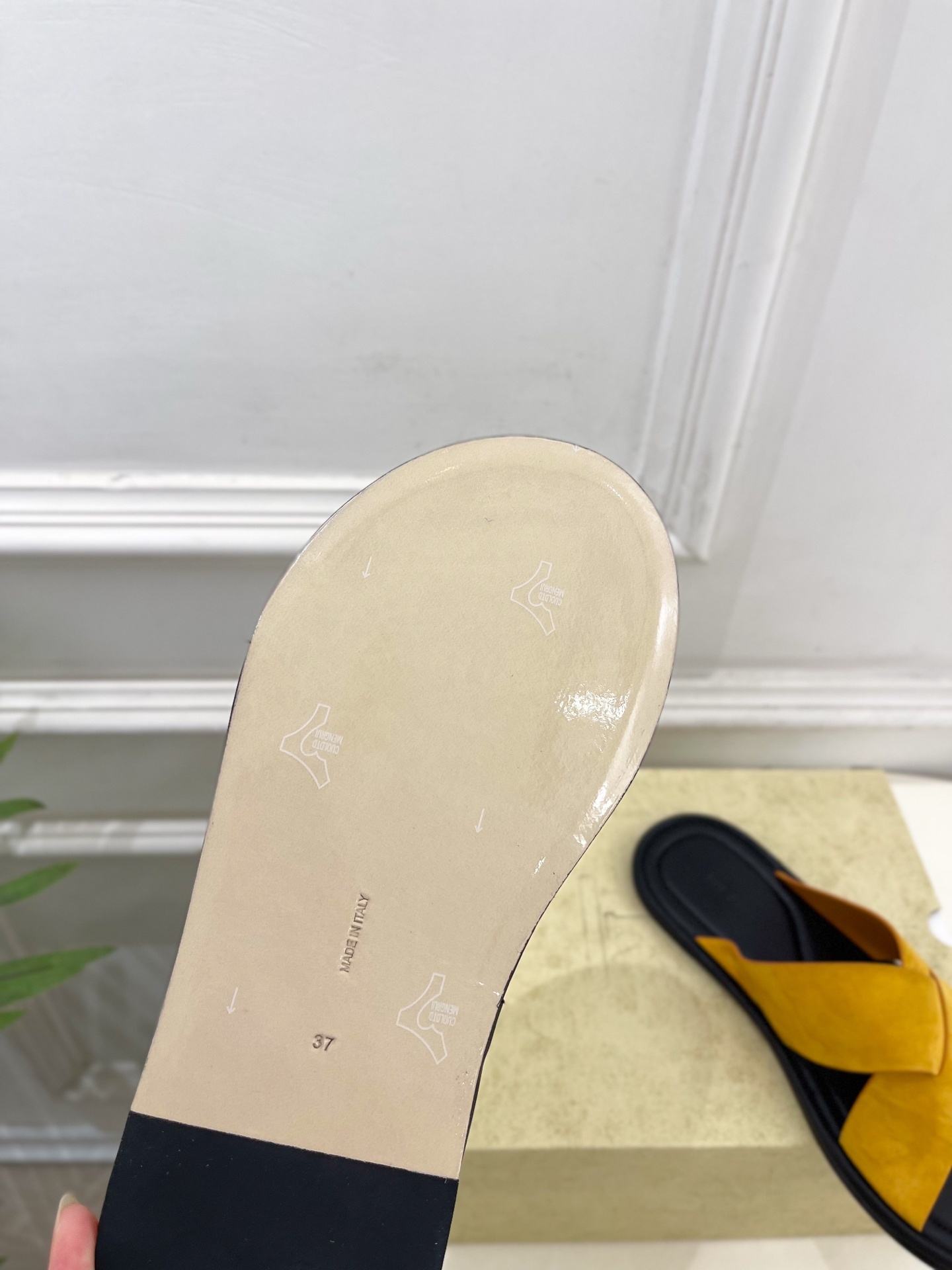 6175f672447be26e3cc43ab2f337f433.jpg