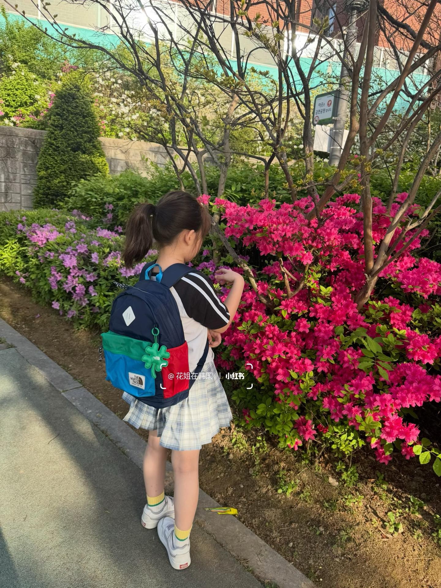 ab4ffb79c26e5cb64605ef10771a1c0f.jpg