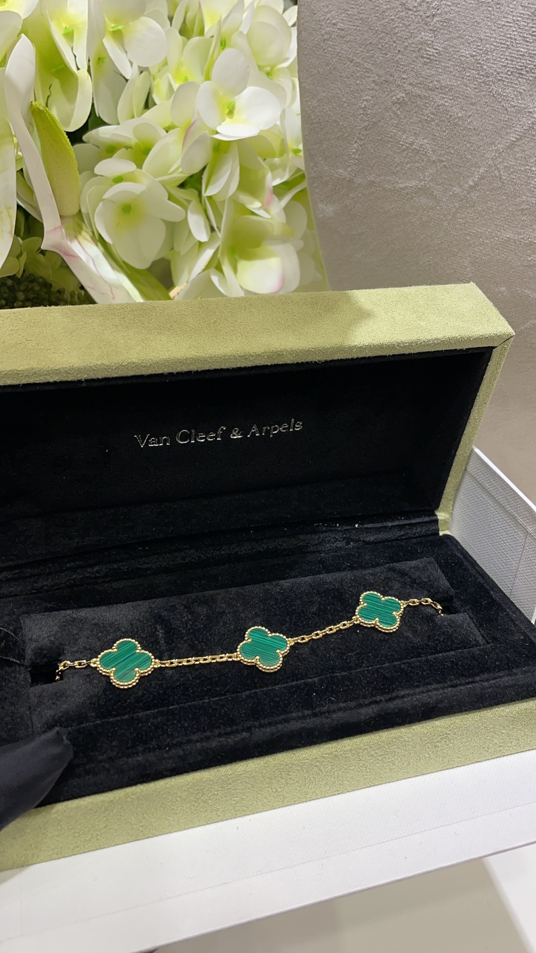 c9acd29a73b6611b0aaa202cee4ecdff.jpg