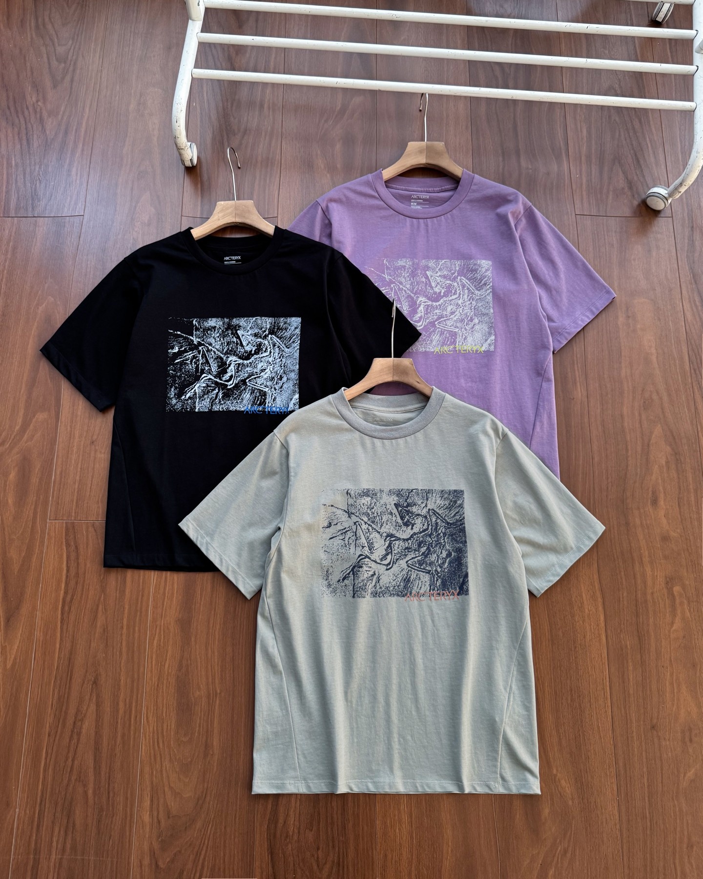 e434389896891d051cb2806e6229ecbc.jpg