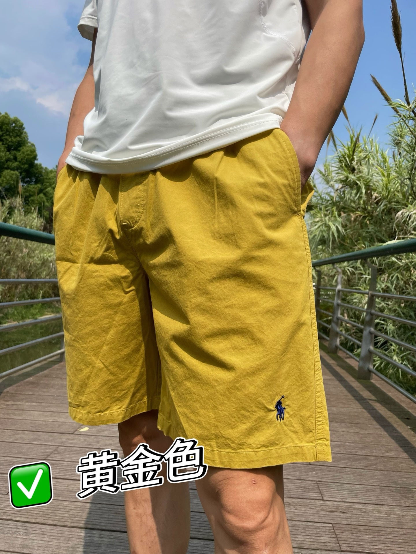 95708d9649ed2ac1f4c412d61afa13b6.jpg