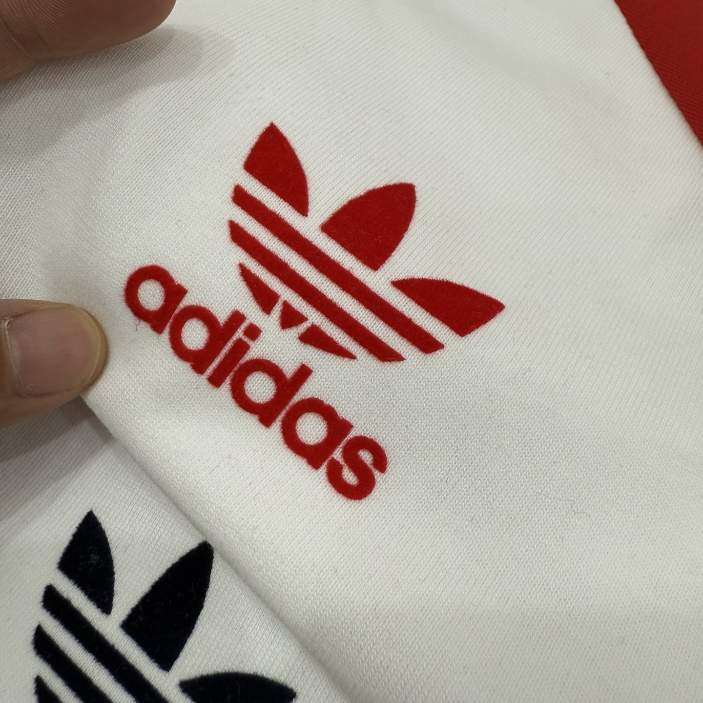 0b7fcb786079531831296c7fa6c00905.jpg