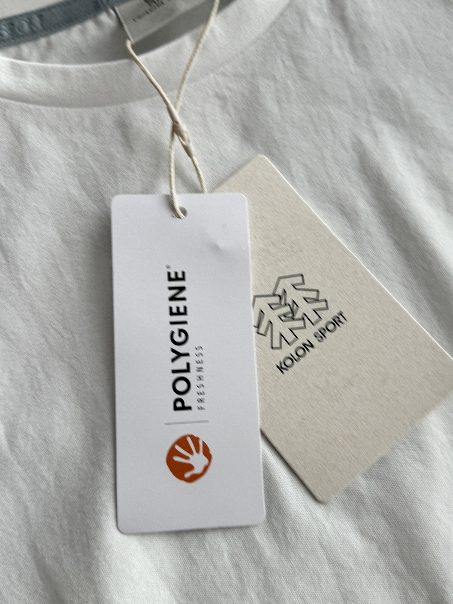 95b19b94bad01d8b2dda81db52b62519.jpg