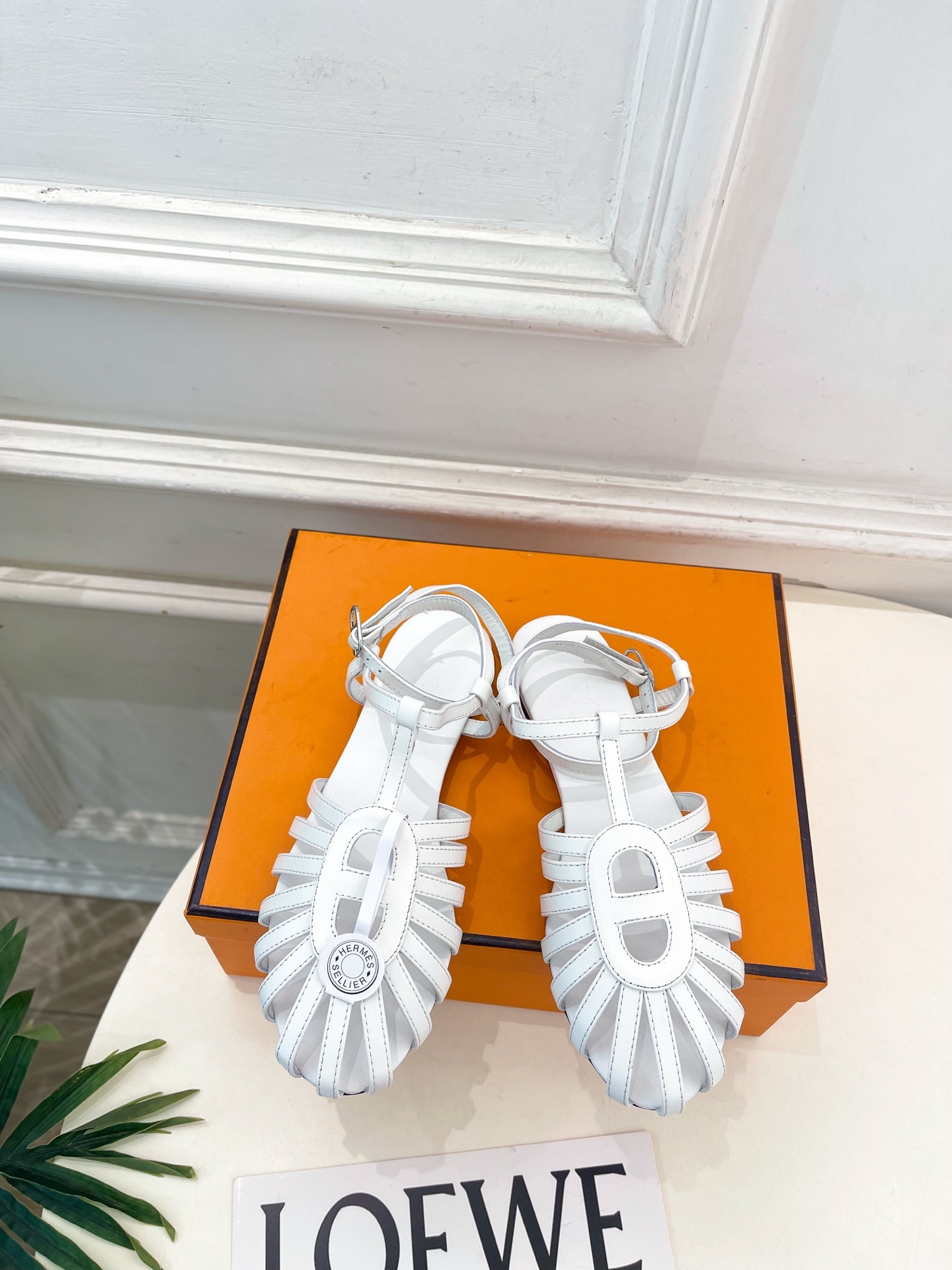 b210b50590cdf02e22c0013a554aa164.jpg