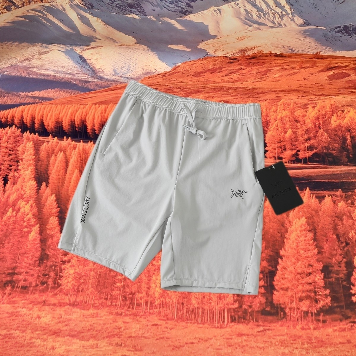 8889641137f945a3f831a9053b90ebdd.jpg
