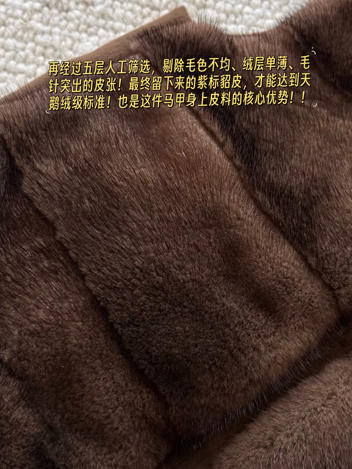 bde669e4802a46a89d5495053e09023e.jpg
