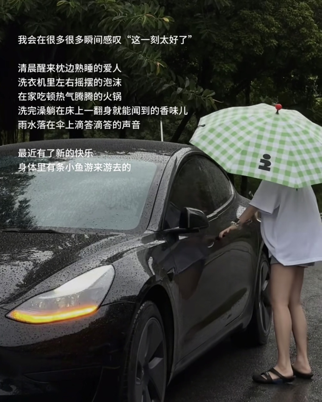 2c6b3db1db451a42a7e13e7db2adaf72.jpg