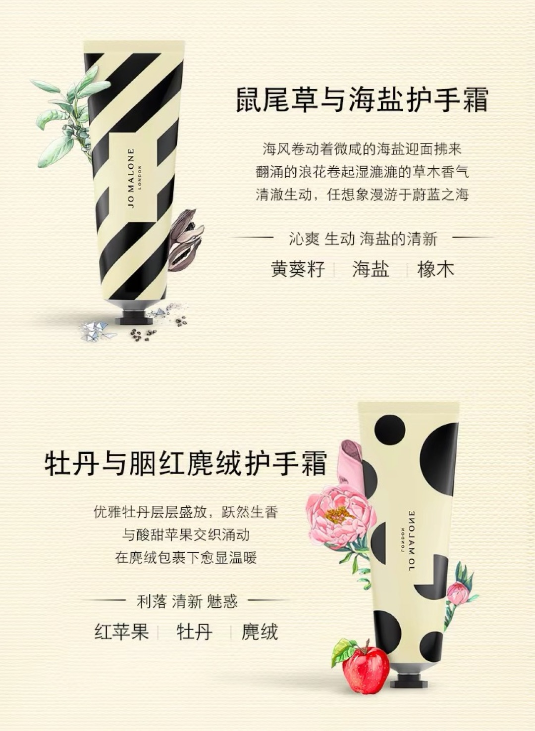 27144ddaad63d7e7452cdff172088fb2.jpg