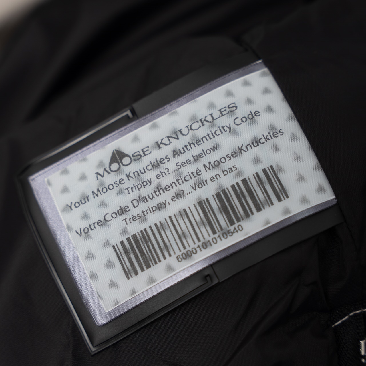 e785a8abdbd5d8799ec18dce9aeef4f7.jpg