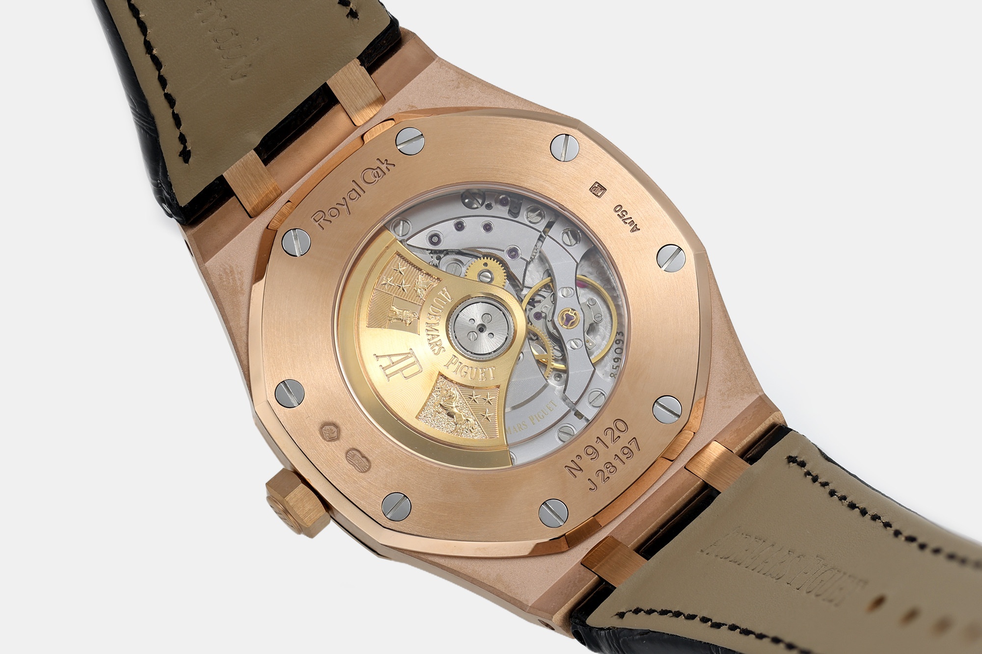 a0407b398725e7fcdfc8dfa81da16a78.jpg