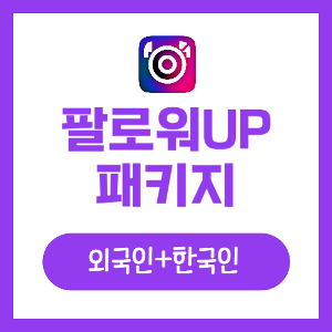 인스타 팔로워 늘리기