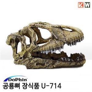KW 공룡뼈 장식품 U-714