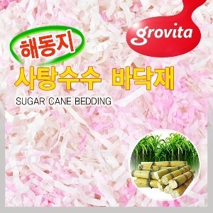 그로비타 사탕수수 해동지 바닥재 / 핑크