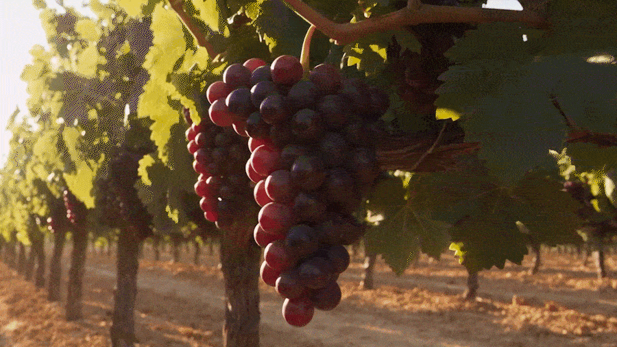 03_content_06.gif (900×506)