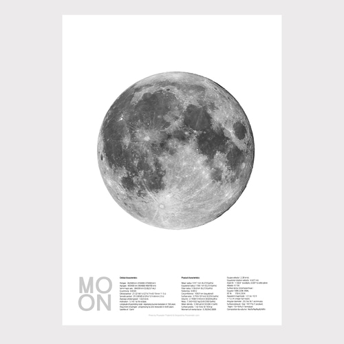 달의 모든 것 white 포스터 출력 a1