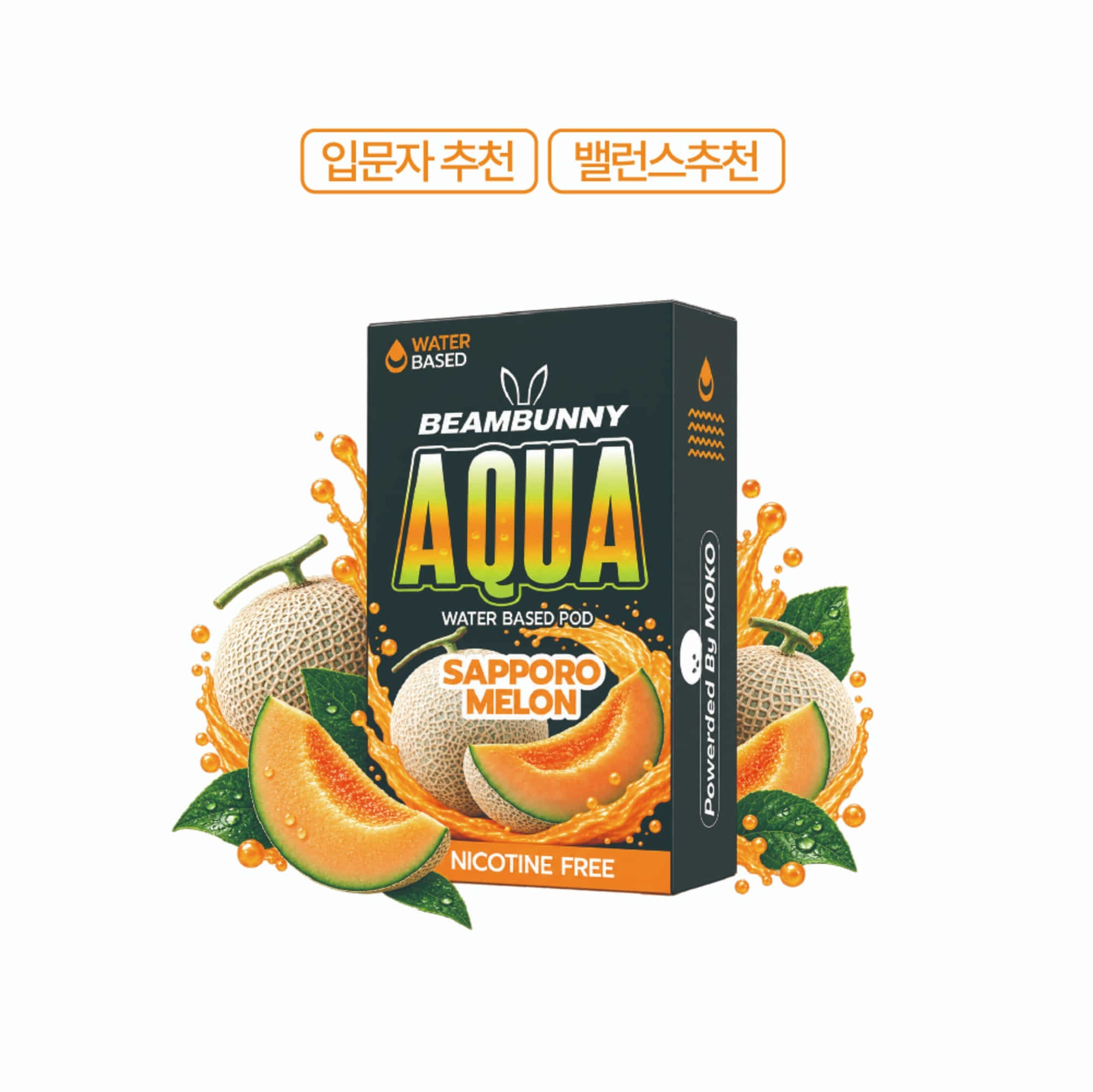 삿포로 메론