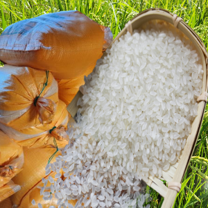 유기견돌보는 농부 쌀 10kg