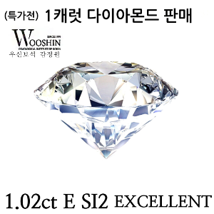 우신 다이아몬드 1.02캐럿 E/SI2
