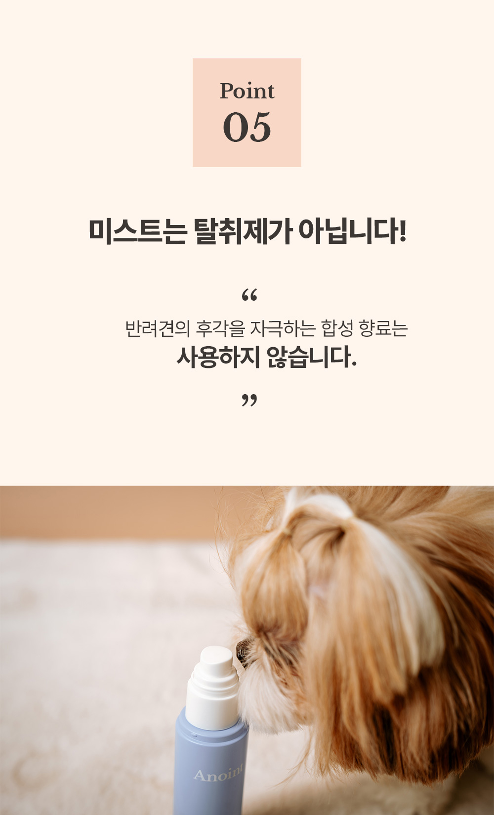 모자 모델 착용 이미지-S12L25