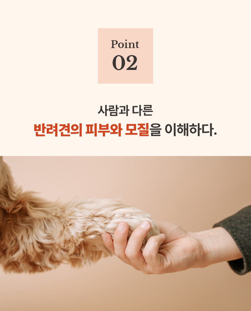 악세사리 상품상세 이미지-S38L21