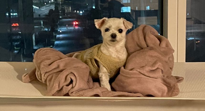 화장품 모델 착용 이미지-S1L44