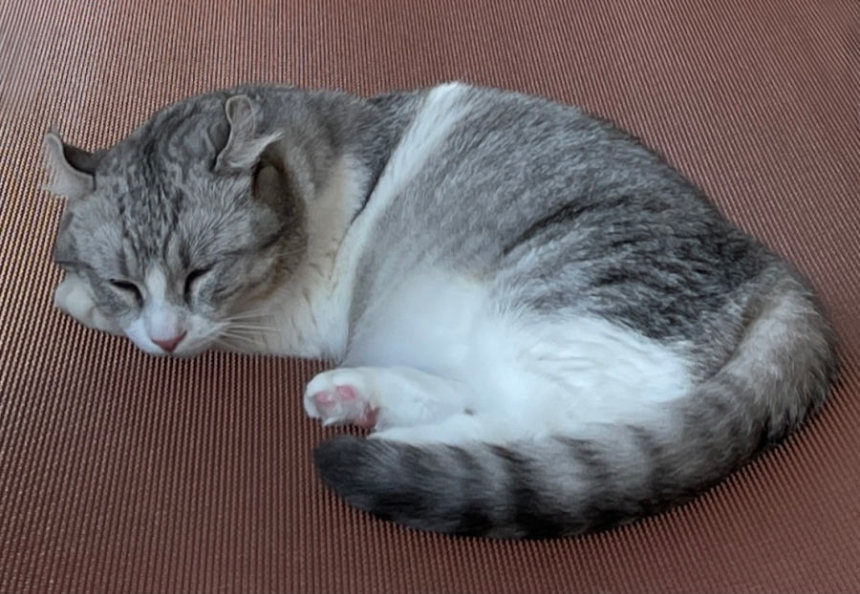 화장품 상품상세 이미지-S1L43