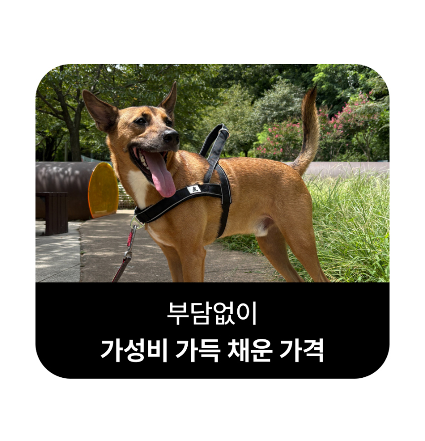 악세사리 모델 착용 이미지-S1L28