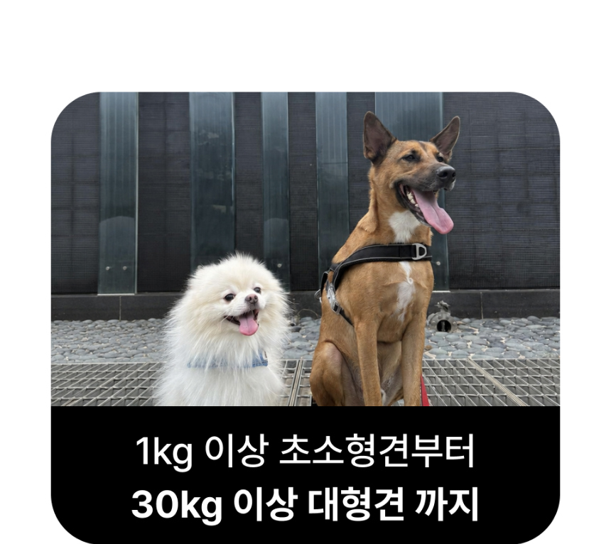 악세사리 모델 착용 이미지-S1L27