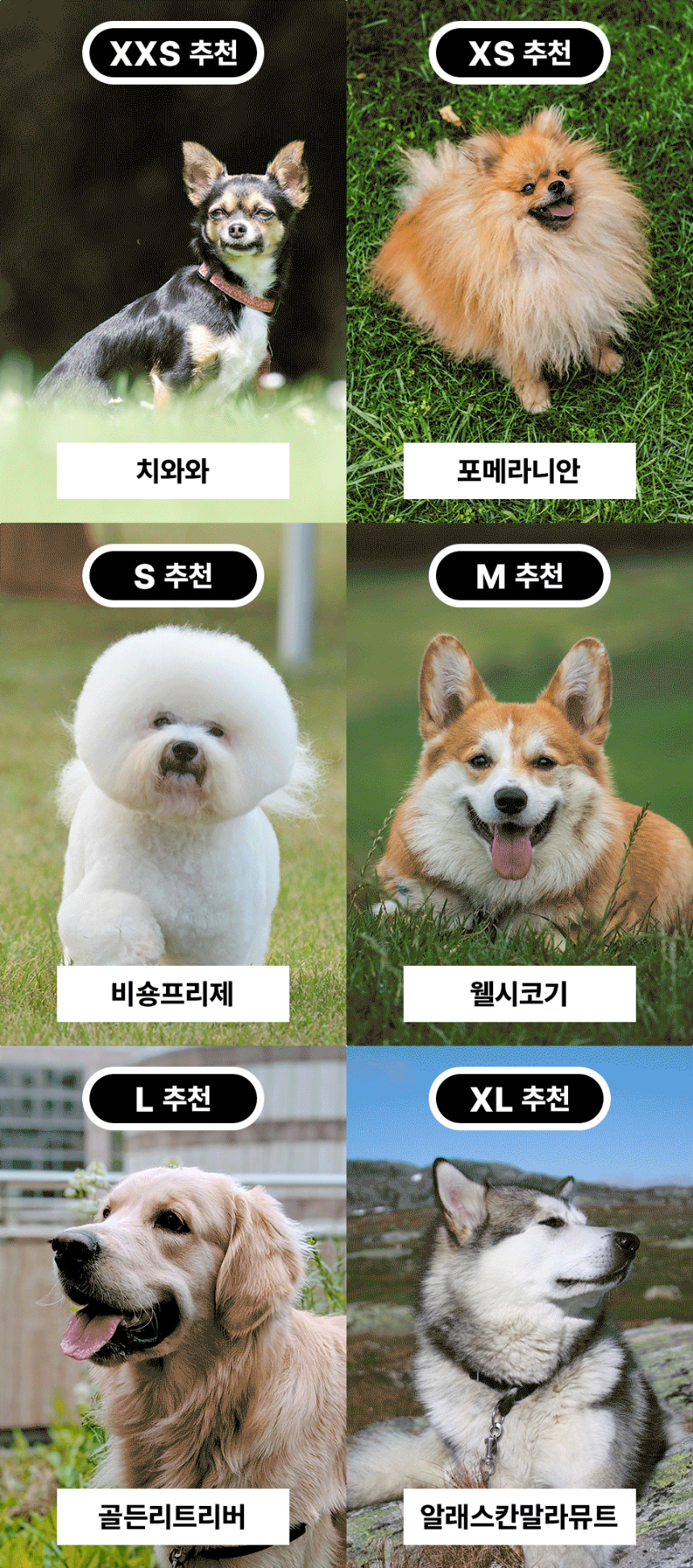 악세사리 모델 착용 이미지-S1L12
