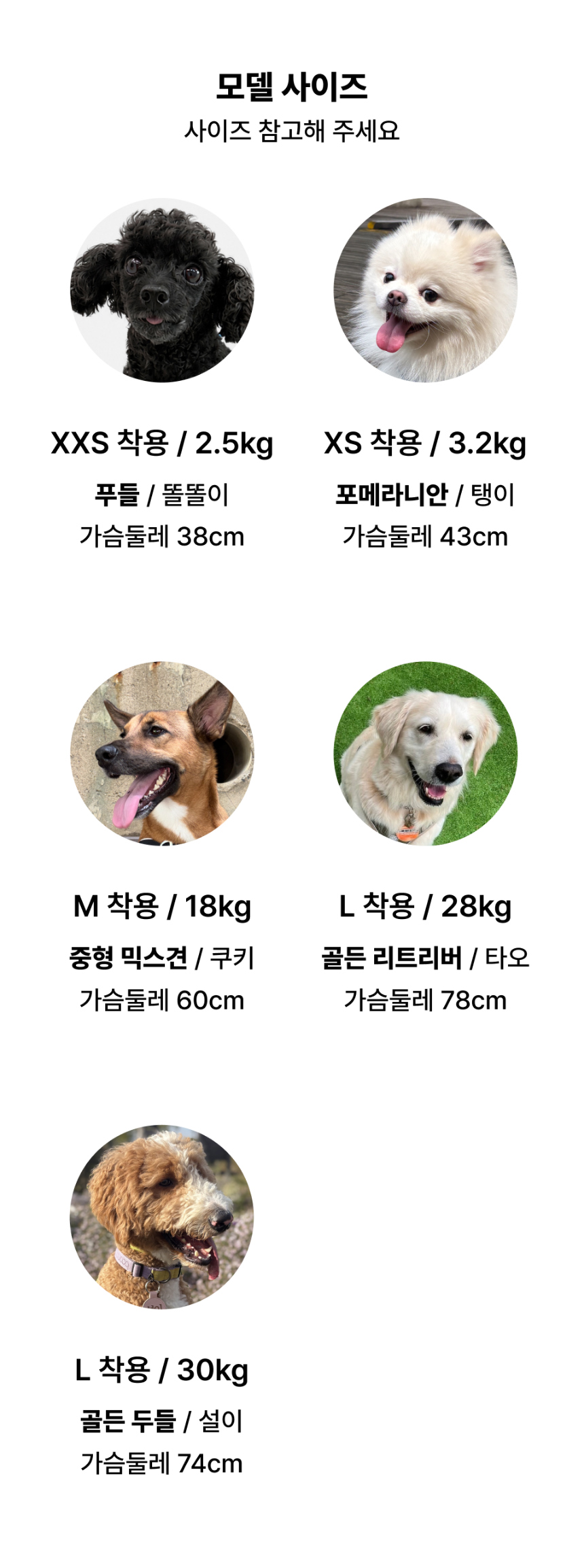 악세사리 상품 이미지-S1L43
