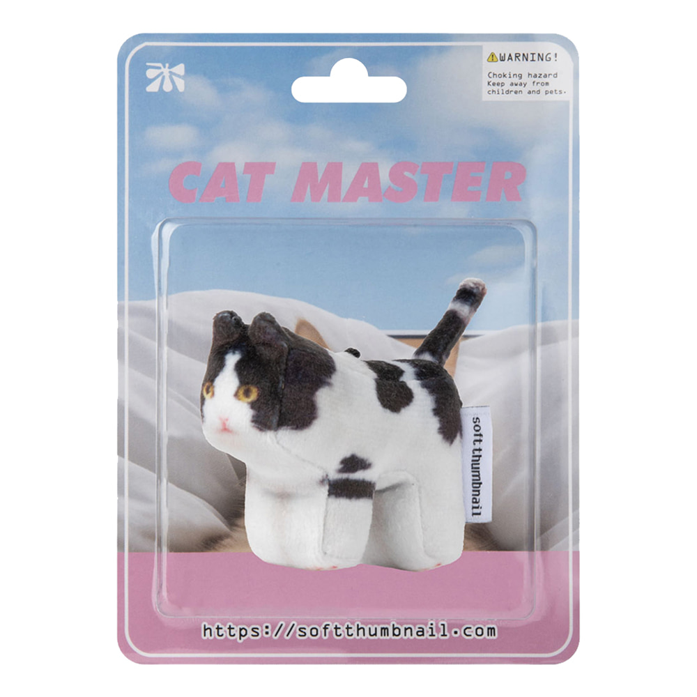 Mumu, Domestic Shorthair - soft thumbnail