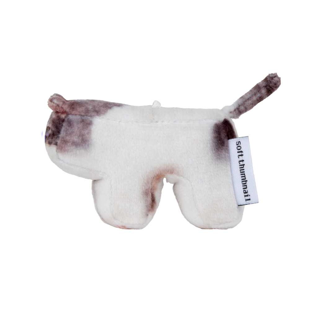 【SOFT THUMBNAIL】 Milk, Domestic Shorthair SOFT THUMBNAIL Milk, Domestic Shorthair | International Store