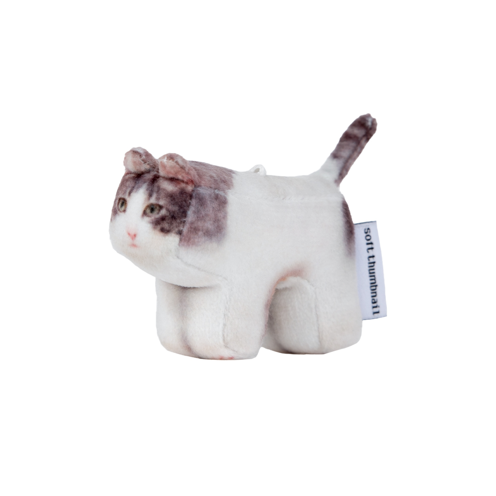 【SOFT THUMBNAIL】 Milk, Domestic Shorthair SOFT THUMBNAIL Milk, Domestic Shorthair | International Store