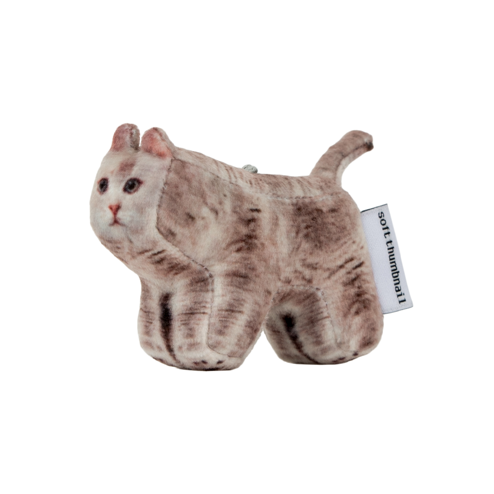 Moca, British Shorthair - soft thumbnail