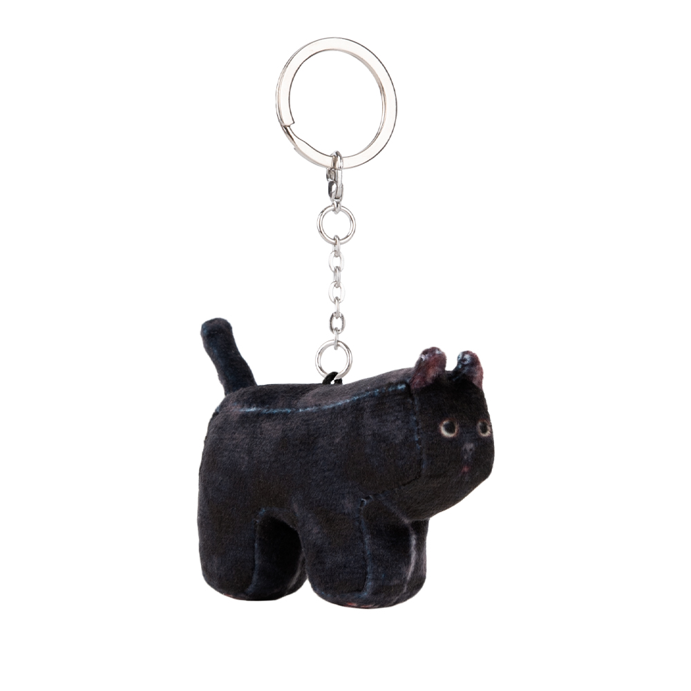 韓國可愛い[SOFTTHUMBNAIL]Mang, American Shorthair Mang, American Shorthair - soft thumbnail